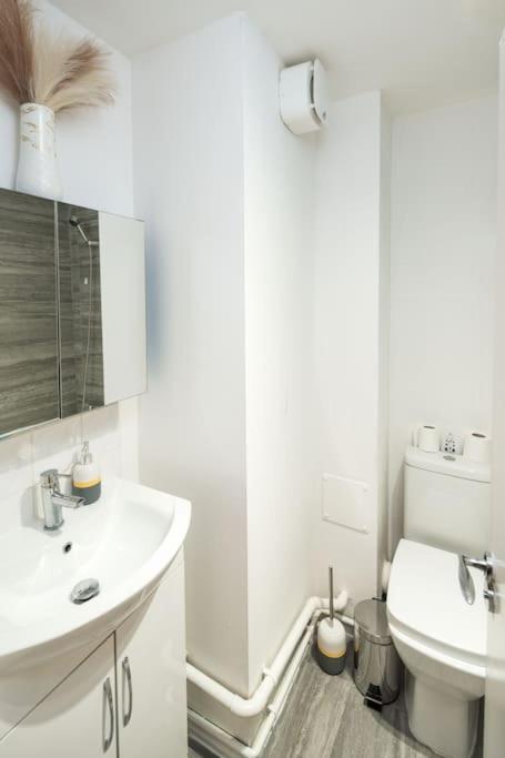 Apartment Cozy Retreat Near Heathrow Airport